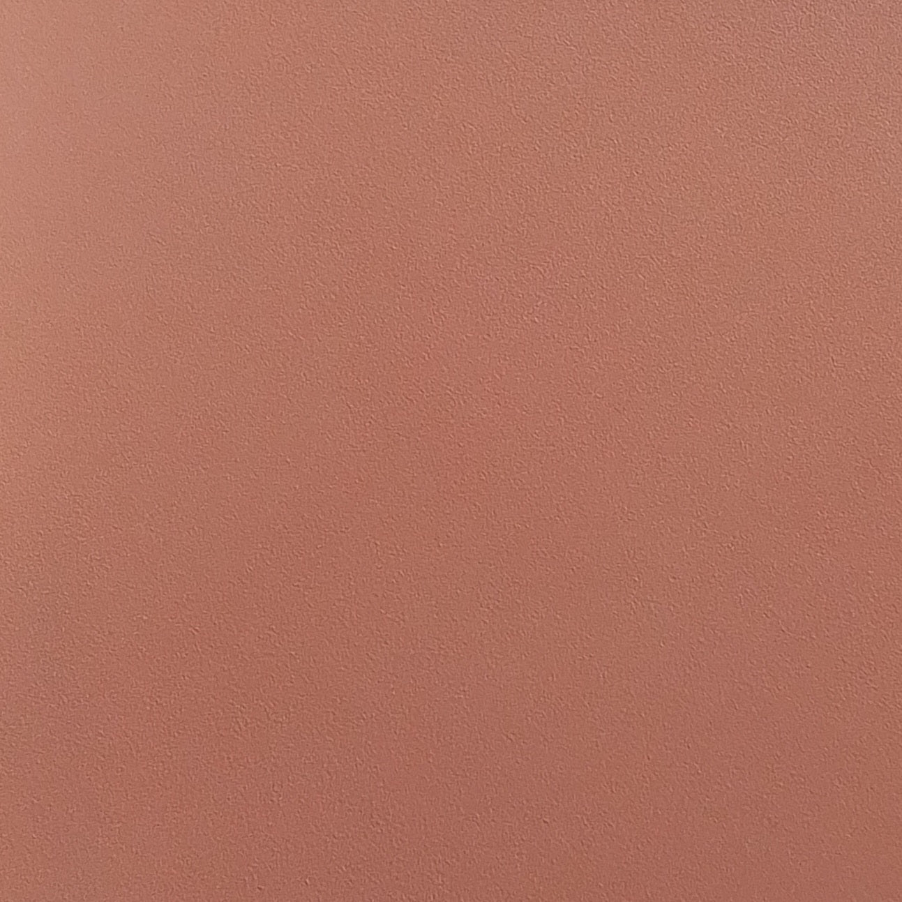 Claire Fontaine - Cartoncino Pastelmat