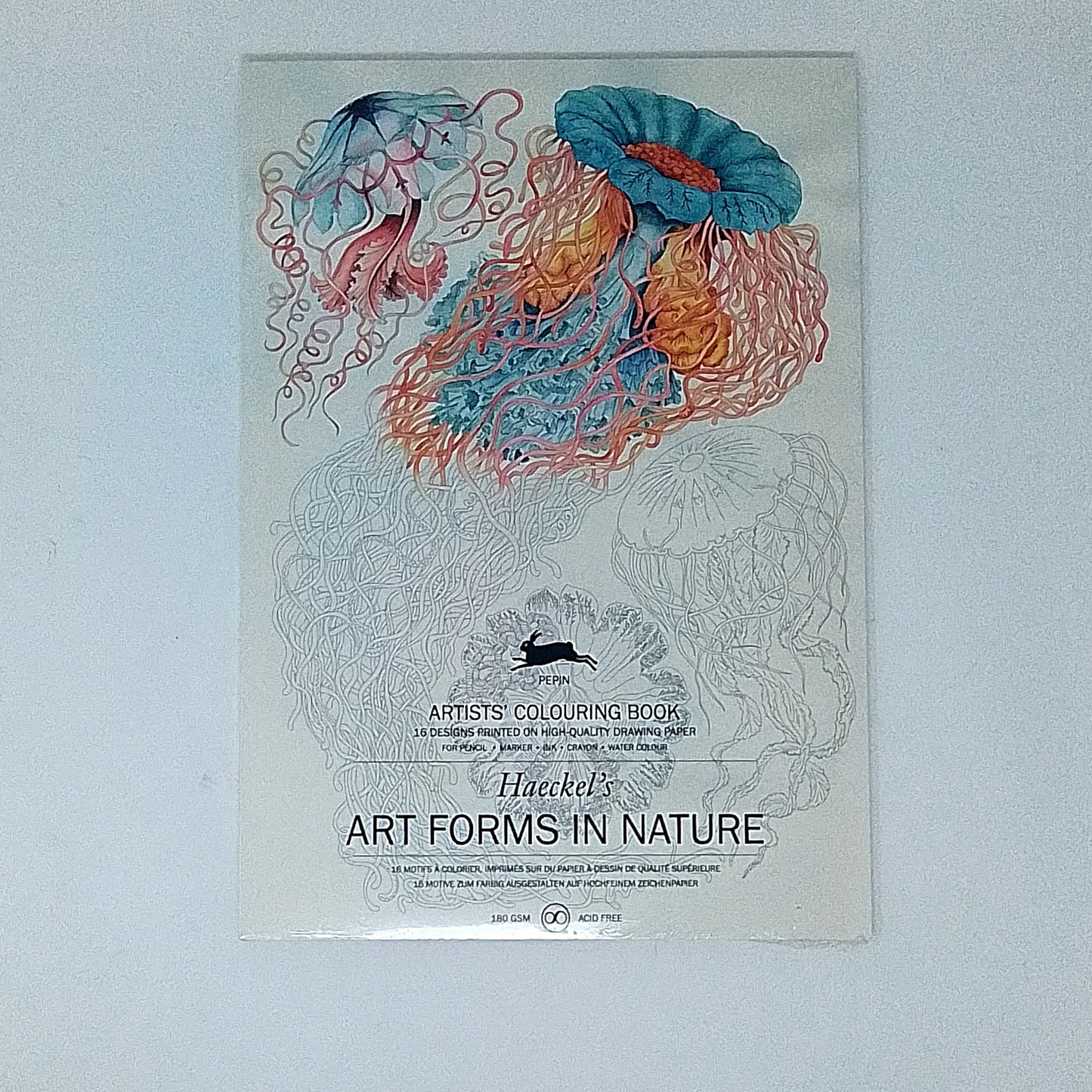 PEPIN - Artists Colouring Book