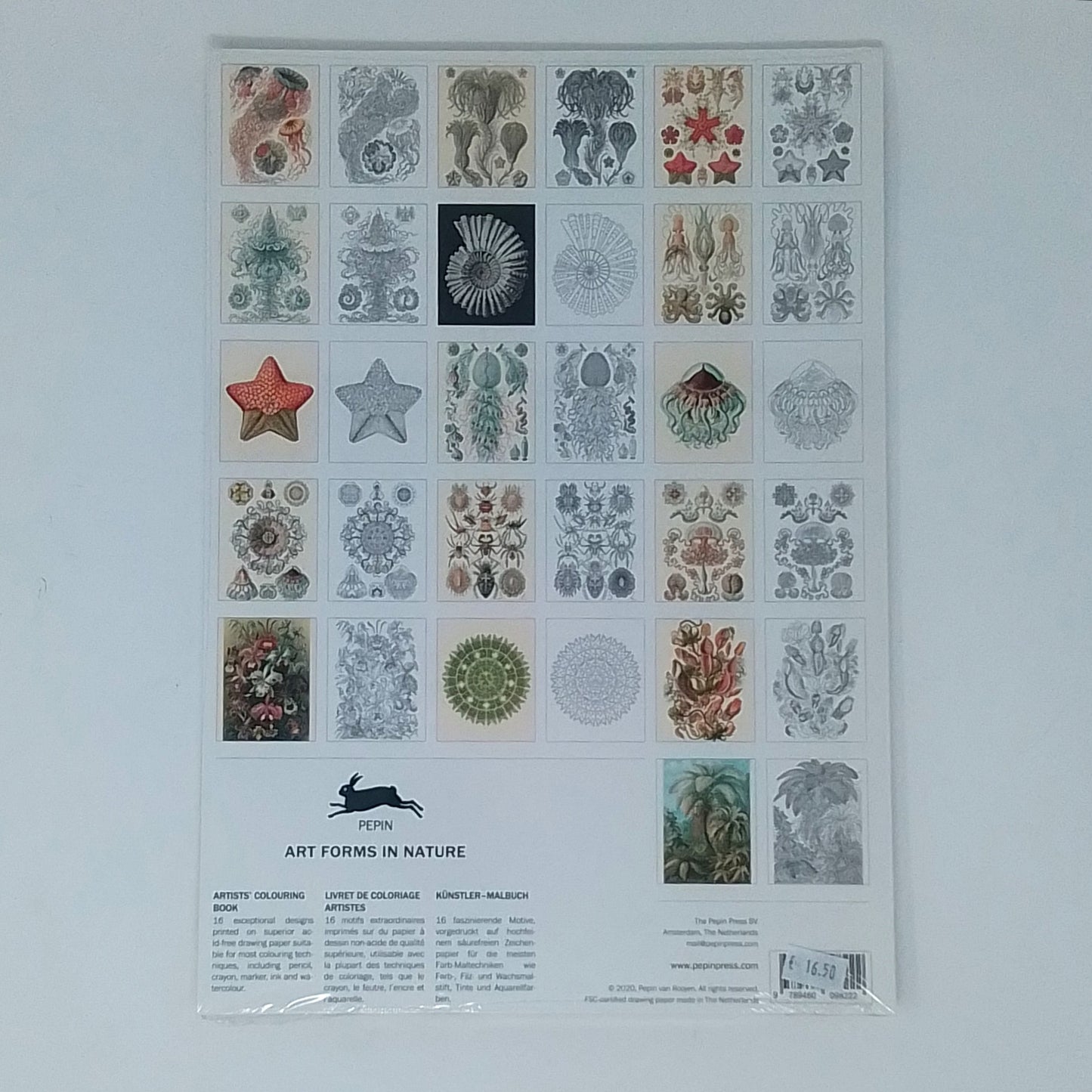 PEPIN - Artists Colouring Book