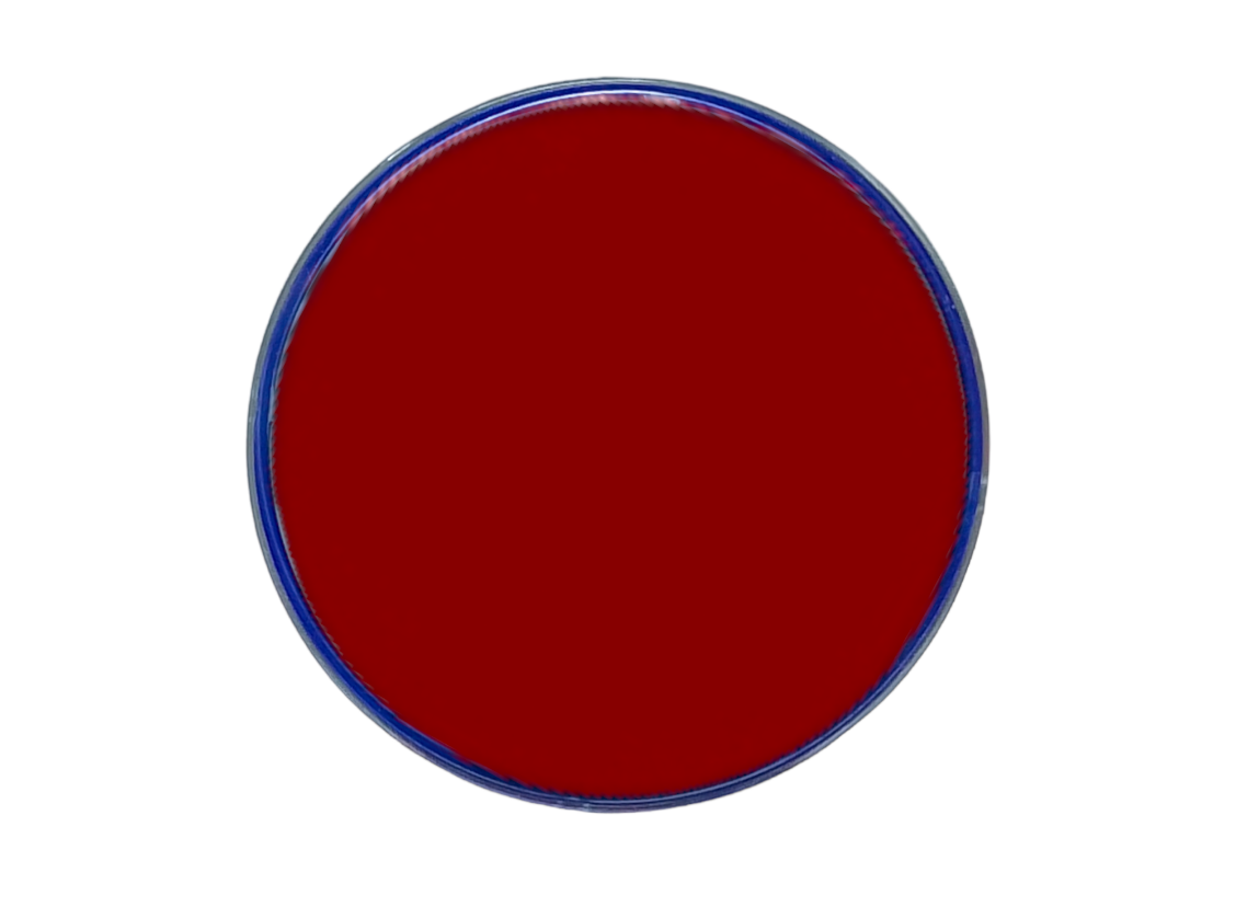 Cialde per Truccabimbi - Snazaroo