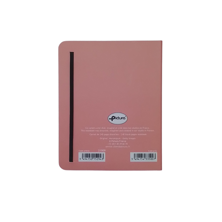 PICTURA - QUADERNO 240 PAGINE