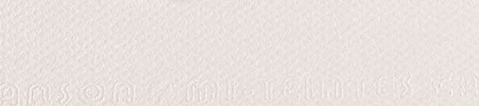 CANSON - MI-TEINTES CARTONCINI SFUSI 180 BIANCO NUVOLA