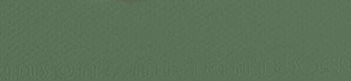 CANSON - MI-TEINTES CARTONCINI SFUSI 190 VERDE SALVIA