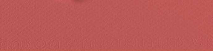 CANSON - MI-TEINTES CARTONCINI SFUSI 189 ROSSO VENEZIANO
