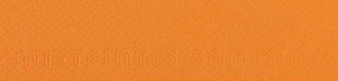 CANSON - MI-TEINTES CARTONCINI SFUSI 384 SALMONE