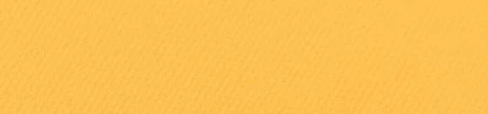 CANSON - MI-TEINTES CARTONCINI SFUSI 400 BOTTON D'ORO