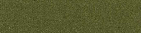 CANSON - MI-TEINTES CARTONCINI SFUSI 448 VERDE OCEANO