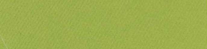 CANSON - MI-TEINTES CARTONCINI SFUSI 475 VERDE MELA