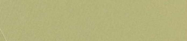 CANSON - MI-TEINTES CARTONCINI SFUSI 480 VERDE MANDORLA
