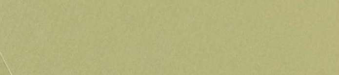 CANSON - MI-TEINTES CARTONCINI SFUSI 480 VERDE MANDORLA