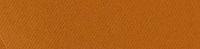 CANSON - MI-TEINTES CARTONCINI SFUSI 502 AVANA CHIARO