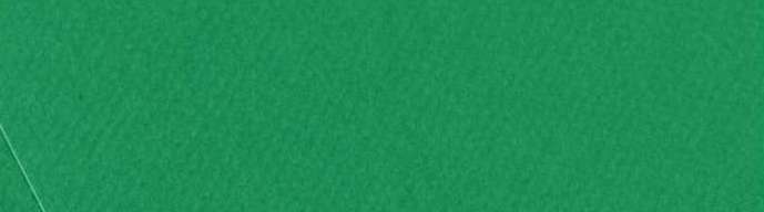 CANSON - MI-TEINTES CARTONCINI SFUSI 575 VERDE BILIARDO