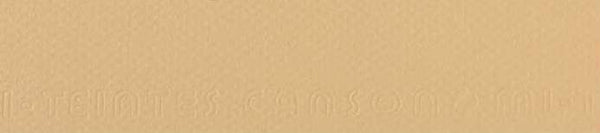 CANSON - MI-TEINTES CARTONCINI SFUSI 407 LICHENE
