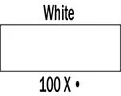 ROYAL TALENS - ECOLINE ACQUERELLO LIQUIDO 100 BIANCO