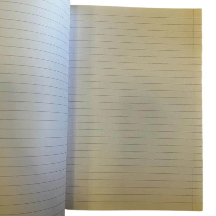 QUIREBOOK - QUADERNO DIDATTICO ITALIANO (REGOLE GRAMMATICALI, PAROLE CAPRICCIOSE, DOPPIE, RADDOPPIO DELLE CONSONANTI, ELISIONE E TRONCAMENTO, PUNTEGGIATURA)