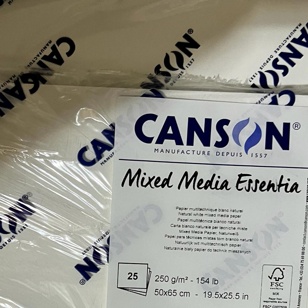 CANSON - Carta Essentia 50x65 Smooth Vellum 250gr - CONF. DA 25 FOGLI